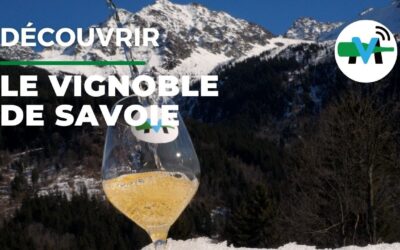 Vins de Savoie en ligne : Le guide d’achat complet